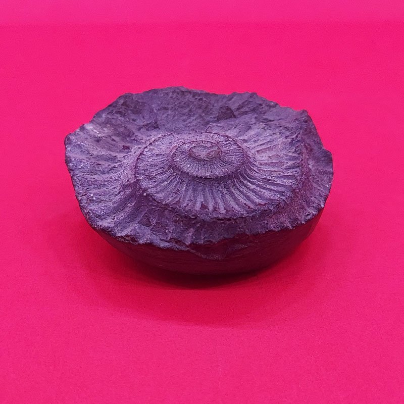 SALAGARAMAM