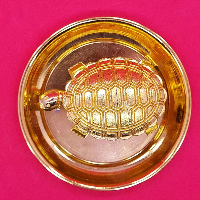WISH TORTOISE