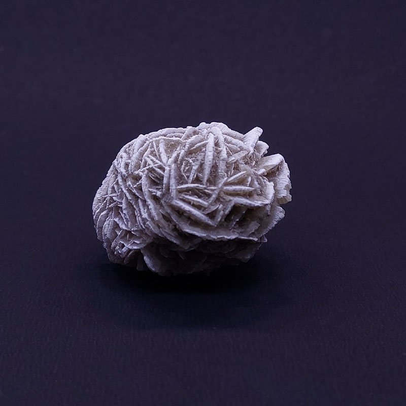DESERT ROSE