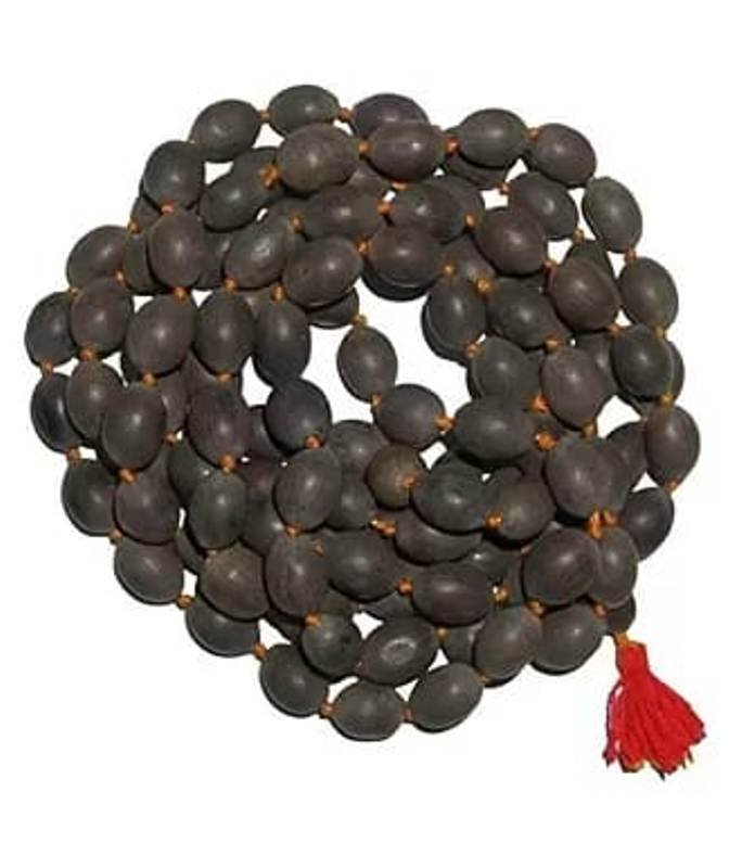 LOTUS SEED MALAI